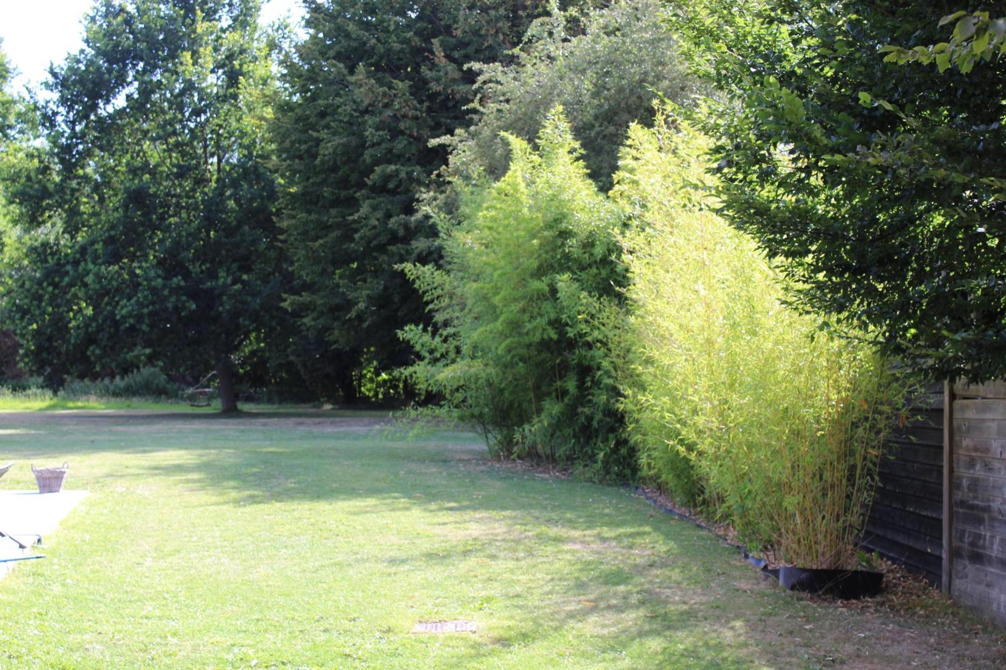 Bed and Breakfast Aux P'Tits Bonheurs La Grange Neuve-Chapelle Экстерьер фото
